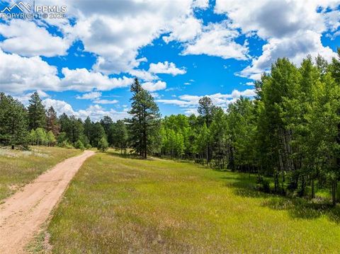 Tiny photo for 4710 Wildhorn Road, Florissant, CO 80816 (MLS # 3425964)