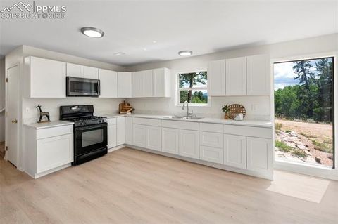 Tiny photo for 4710 Wildhorn Road, Florissant, CO 80816 (MLS # 3425964)