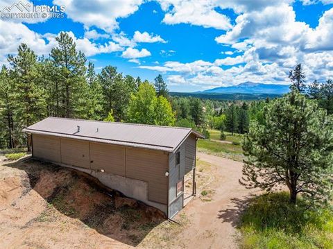 Tiny photo for 4710 Wildhorn Road, Florissant, CO 80816 (MLS # 3425964)