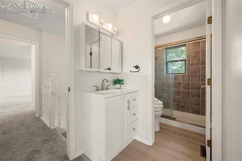 Tiny photo for 4710 Wildhorn Road, Florissant, CO 80816 (MLS # 3425964)