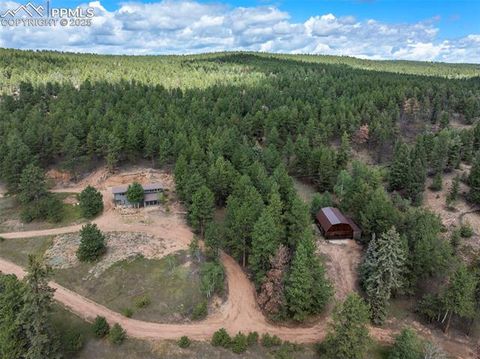 Tiny photo for 4710 Wildhorn Road, Florissant, CO 80816 (MLS # 3425964)