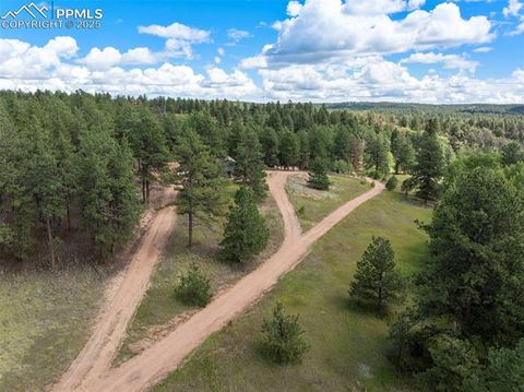 Tiny photo for 4710 Wildhorn Road, Florissant, CO 80816 (MLS # 3425964)