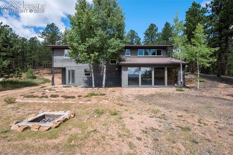 Tiny photo for 4710 Wildhorn Road, Florissant, CO 80816 (MLS # 3425964)