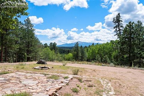 Tiny photo for 4710 Wildhorn Road, Florissant, CO 80816 (MLS # 3425964)