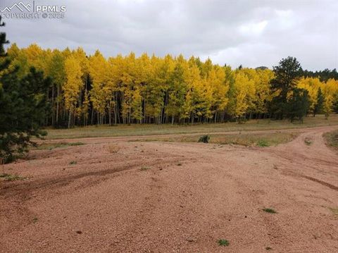 Tiny photo for 4710 Wildhorn Road, Florissant, CO 80816 (MLS # 3425964)
