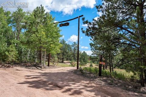 Tiny photo for 4710 Wildhorn Road, Florissant, CO 80816 (MLS # 3425964)