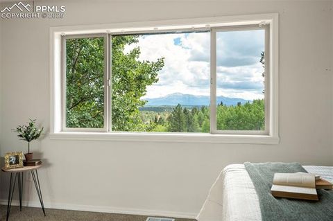 Tiny photo for 4710 Wildhorn Road, Florissant, CO 80816 (MLS # 3425964)