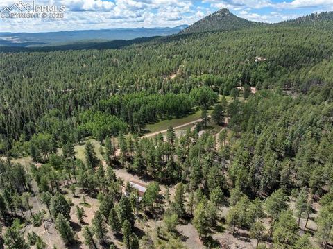 Tiny photo for 4710 Wildhorn Road, Florissant, CO 80816 (MLS # 3425964)
