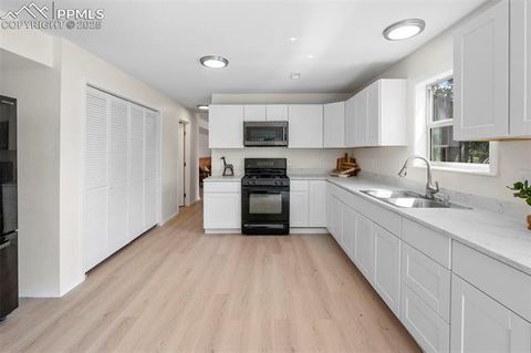 Tiny photo for 4710 Wildhorn Road, Florissant, CO 80816 (MLS # 3425964)