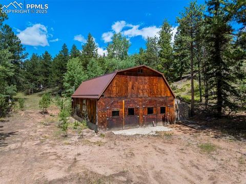 Tiny photo for 4710 Wildhorn Road, Florissant, CO 80816 (MLS # 3425964)