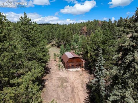 Tiny photo for 4710 Wildhorn Road, Florissant, CO 80816 (MLS # 3425964)