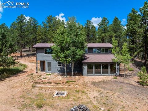 Photo of 4710 Wildhorn Road, Florissant, CO 80816 (MLS # 3425964)
