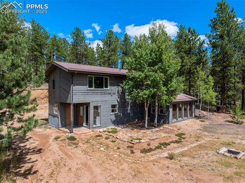 Tiny photo for 4710 Wildhorn Road, Florissant, CO 80816 (MLS # 3425964)