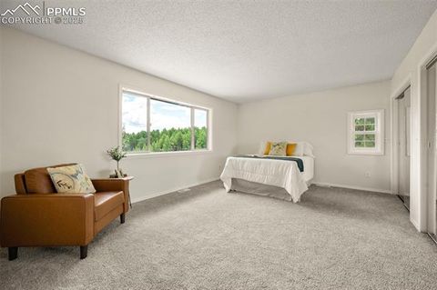 Tiny photo for 4710 Wildhorn Road, Florissant, CO 80816 (MLS # 3425964)
