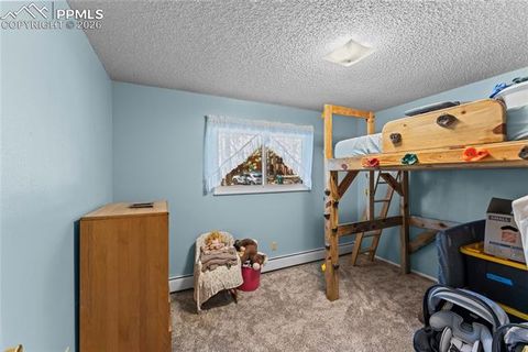 Tiny photo for 1210 W Lorraine Avenue, Woodland Park, CO 80863 (MLS # 4755087)
