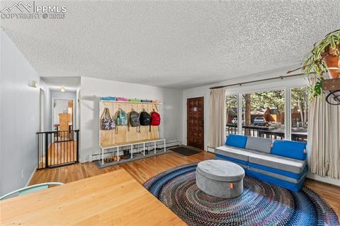 Tiny photo for 1210 W Lorraine Avenue, Woodland Park, CO 80863 (MLS # 4755087)