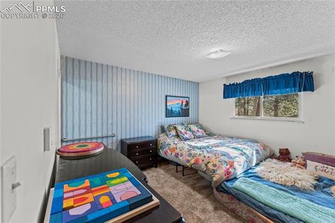 Tiny photo for 1210 W Lorraine Avenue, Woodland Park, CO 80863 (MLS # 4755087)