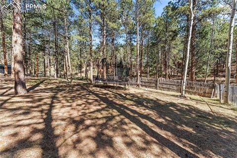 Tiny photo for 1210 W Lorraine Avenue, Woodland Park, CO 80863 (MLS # 4755087)