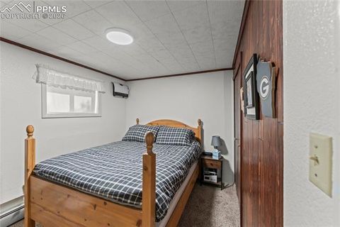 Tiny photo for 1210 W Lorraine Avenue, Woodland Park, CO 80863 (MLS # 4755087)