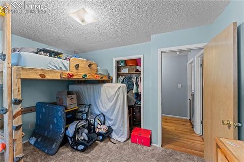 Tiny photo for 1210 W Lorraine Avenue, Woodland Park, CO 80863 (MLS # 4755087)