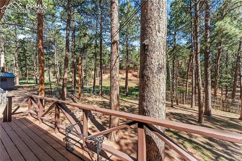 Tiny photo for 1210 W Lorraine Avenue, Woodland Park, CO 80863 (MLS # 4755087)