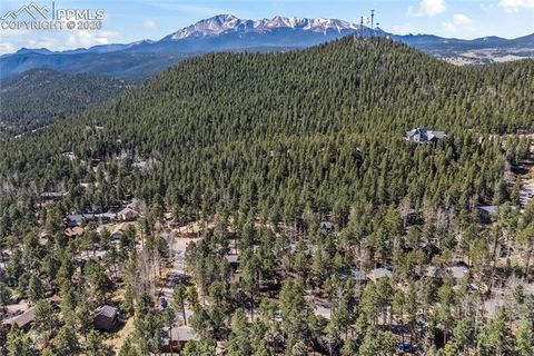 Tiny photo for 1210 W Lorraine Avenue, Woodland Park, CO 80863 (MLS # 4755087)