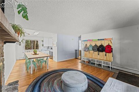 Tiny photo for 1210 W Lorraine Avenue, Woodland Park, CO 80863 (MLS # 4755087)
