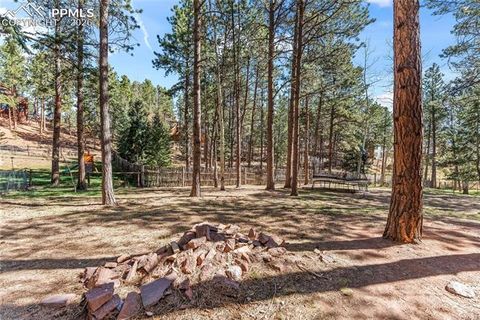 Tiny photo for 1210 W Lorraine Avenue, Woodland Park, CO 80863 (MLS # 4755087)
