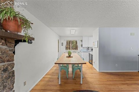 Tiny photo for 1210 W Lorraine Avenue, Woodland Park, CO 80863 (MLS # 4755087)