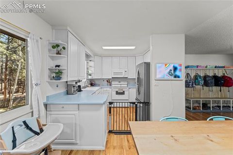 Tiny photo for 1210 W Lorraine Avenue, Woodland Park, CO 80863 (MLS # 4755087)