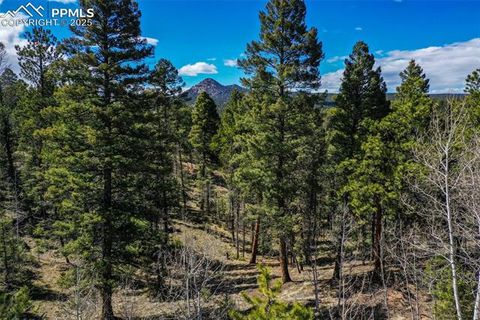 Photo of 360 Tejon Creek Trail, Florissant, CO 80816 (MLS # 9507726) Photo of 360 Tejon Creek Trail, Florissant, CO 80816 (MLS # 9507726)