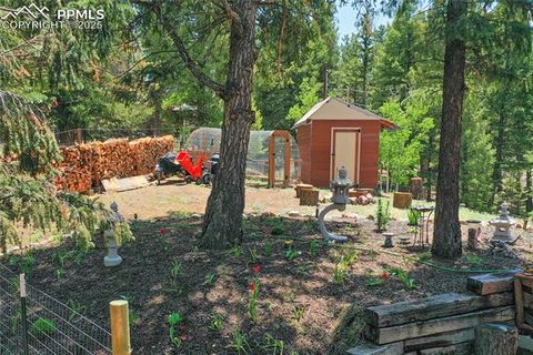 Tiny photo for 2885 Sunnywood Avenue, Woodland Park, CO 80863 (MLS # 3549137)
