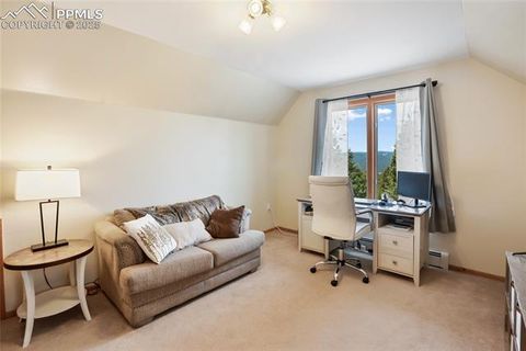Tiny photo for 2885 Sunnywood Avenue, Woodland Park, CO 80863 (MLS # 3549137)
