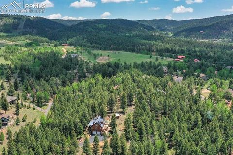 Tiny photo for 2885 Sunnywood Avenue, Woodland Park, CO 80863 (MLS # 3549137)