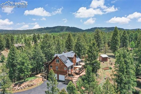 Tiny photo for 2885 Sunnywood Avenue, Woodland Park, CO 80863 (MLS # 3549137)