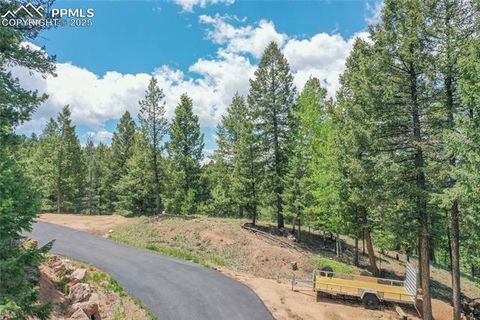 Tiny photo for 2885 Sunnywood Avenue, Woodland Park, CO 80863 (MLS # 3549137)