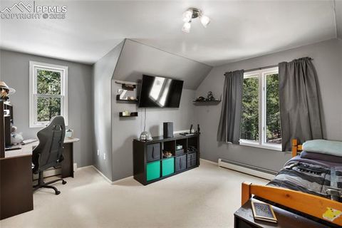 Tiny photo for 2885 Sunnywood Avenue, Woodland Park, CO 80863 (MLS # 3549137)
