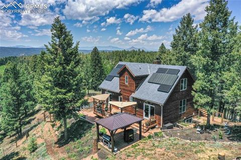 Tiny photo for 2885 Sunnywood Avenue, Woodland Park, CO 80863 (MLS # 3549137)