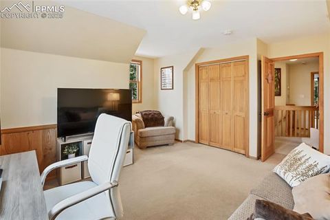 Tiny photo for 2885 Sunnywood Avenue, Woodland Park, CO 80863 (MLS # 3549137)