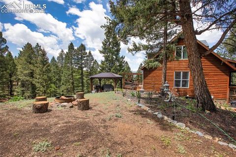 Tiny photo for 2885 Sunnywood Avenue, Woodland Park, CO 80863 (MLS # 3549137)
