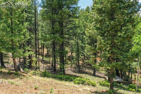 Tiny photo for 2885 Sunnywood Avenue, Woodland Park, CO 80863 (MLS # 3549137)
