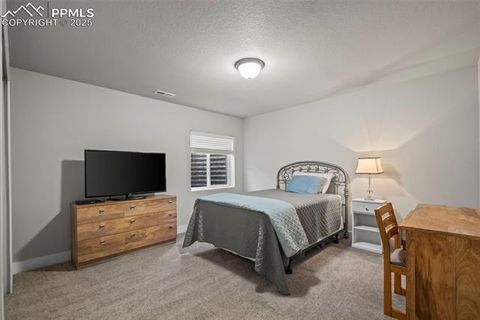 Tiny photo for 1714 Willow Park Way, Monument, CO 80132 (MLS # 3076657)