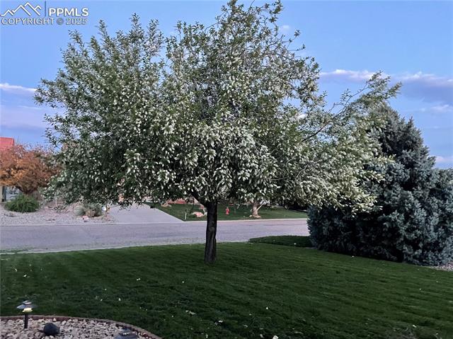115 S Glenrose Drive