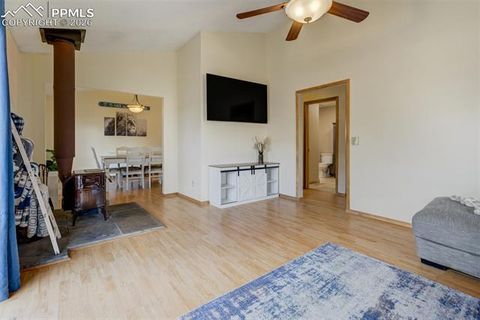 Tiny photo for 1011 South Avenue, Woodland Park, CO 80863 (MLS # 1830015)
