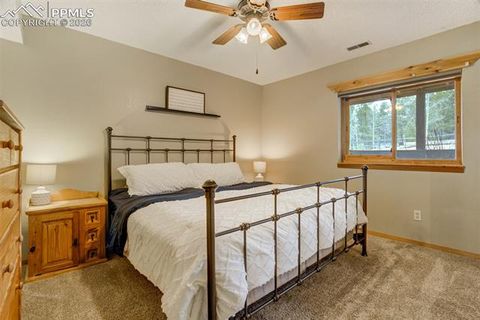 Tiny photo for 1011 South Avenue, Woodland Park, CO 80863 (MLS # 1830015)