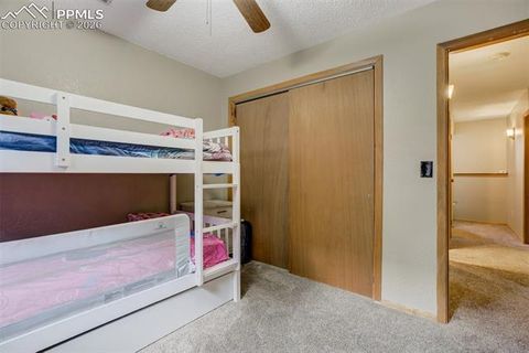 Tiny photo for 1011 South Avenue, Woodland Park, CO 80863 (MLS # 1830015)