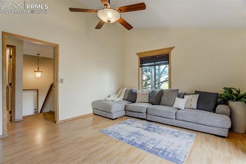 Tiny photo for 1011 South Avenue, Woodland Park, CO 80863 (MLS # 1830015)