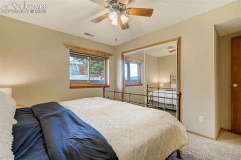Tiny photo for 1011 South Avenue, Woodland Park, CO 80863 (MLS # 1830015)