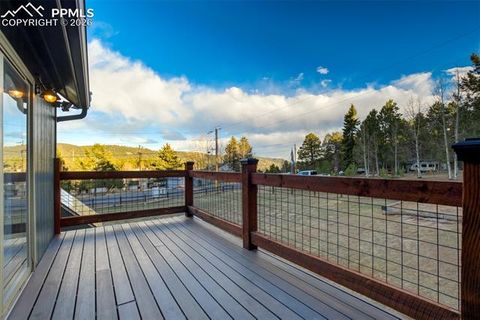 Tiny photo for 1011 South Avenue, Woodland Park, CO 80863 (MLS # 1830015)