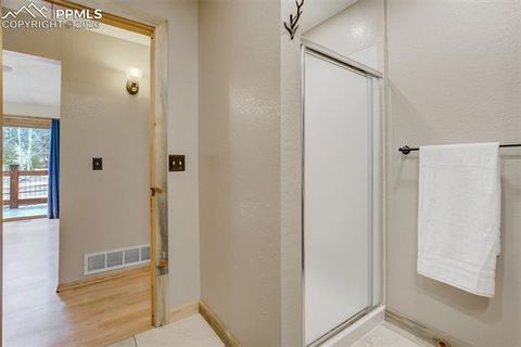 Tiny photo for 1011 South Avenue, Woodland Park, CO 80863 (MLS # 1830015)